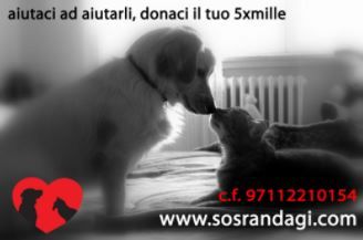 sos randagi